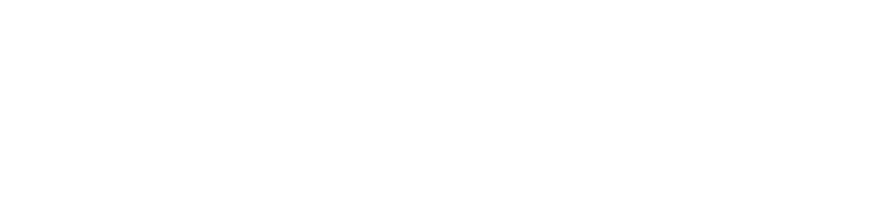 成功人力资源集团